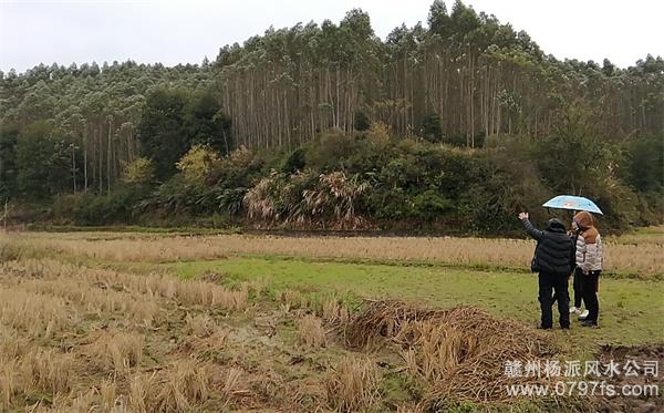 文山壮族苗族自治州陈老师带着爱徒寻龙点穴